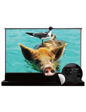 Vivid Storm Since 2004-Projector Screens S PRO P 120inch Perforate Sound Transparent Tension Floor Screen, Compatible Ultra Short Focus Laser Projector,VSDSTUST120HP