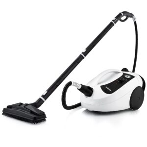 Dupray One Steam Cleaner: Portable, chemical-free all-purpose steamer for floors, tiles, and more. Made in Europe, ideal for home and professional use.
