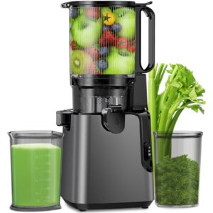 Juicer Machines with 5.8" Large Feed Chute, Cold Press Juicer For Whole Vegetables and Fruits, 400W Professional Slow Masticating juicer Easy to Clean for Batch Juicing (Titanium Gray)
