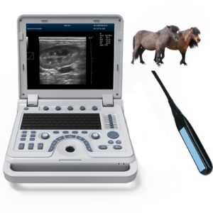 CONTEC Veterinary B-Ultrasound Scanner with High Resolution and PW Doppler for Animal Horse Equine Goat Cow Sheep Camel Rectal Linear Probe