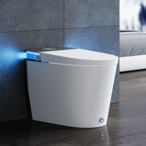 HOROW Artistic Bidet Toilet, Smart Toilet with ADA Chair Height, MAP 1000g Powerful Flush, Auto Open/Close Lid, Instant Warm Water, Elongated Heated Seat, Deodorization