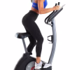 Cycle Trainer 300 Ci Upright Stationary Exercise Bike, Compatible with Ifit Personal Training
