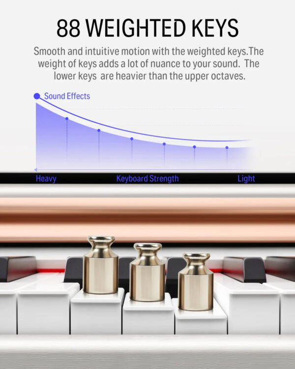 DDP-100 88-Key Weighted Action Digital Piano for Beginner Bundle with Piano Keyboard Stand, Power Adapter, Triple Pedals, MP3 Function, USB-MIDI, 2 Headphone Jacks, White, Melodics Lessons