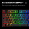 PC Gaming Keyboards RGB Backlit Mechanical Keyboard ABS Keycap Programmable Macro Detachable USB Wired Keyboard for Windows PC (104 Keys Red Switch)