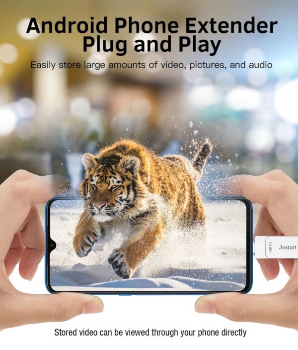 1TB USB C Flash Drive, 500Mb/S USB 3.2 SSD Flash Drive, High Speed USB C+USB ...