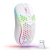 2.4G Wireless Mouse with RGB Backlit 6-Button 3-Speed DPI Type C Rechargeable Ergonomic Honeycomb Design Gaming Mouse