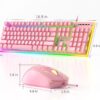 GT838 Gaming Keyboard and Mouse Combo, 104 Keys RGB Backlit Quiet Wired Keyboards for Laptop PC MAC, with Number Pad, Metal Panel, Anti-Ghosting, Pink